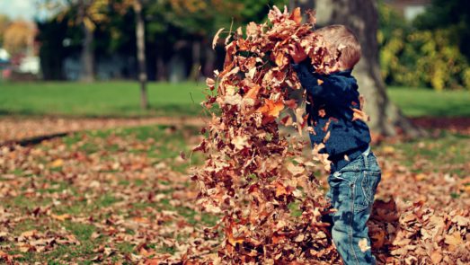 A child playing outside in the fall